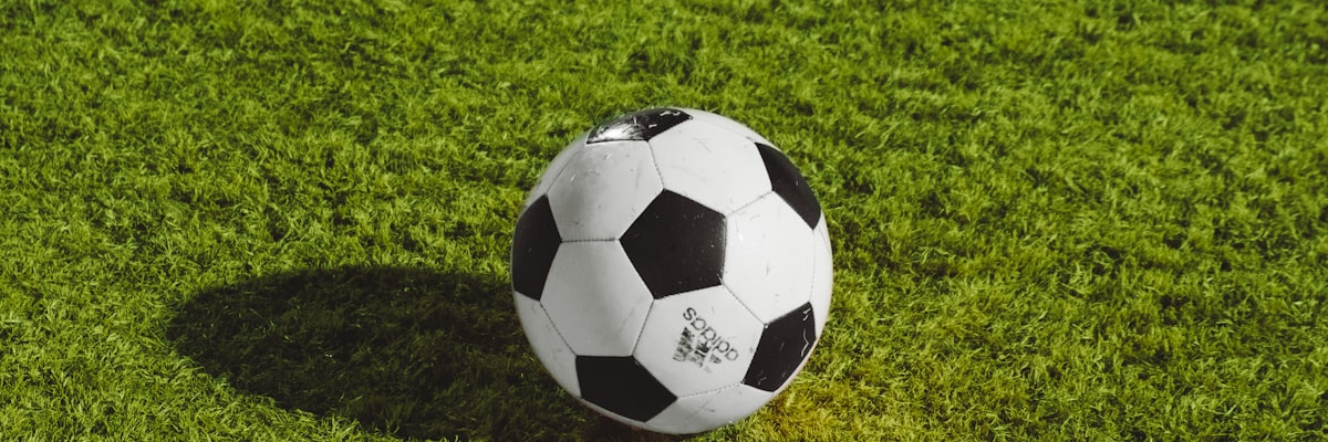 世界杯赛场全景，球迷欢呼，气氛热烈